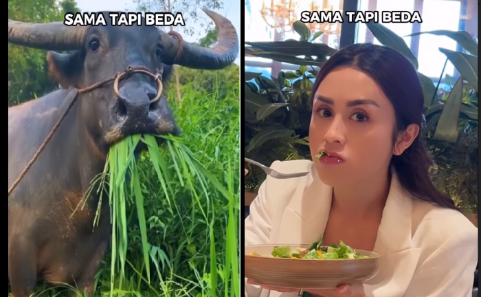 Unggahan Selvi Kitty (Instagram)